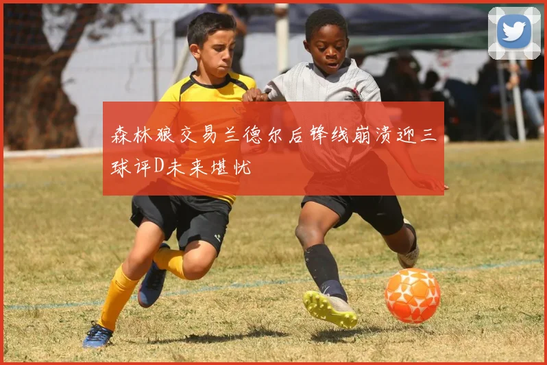 森林狼交易兰德尔后锋线崩溃迎三球评D未来堪忧